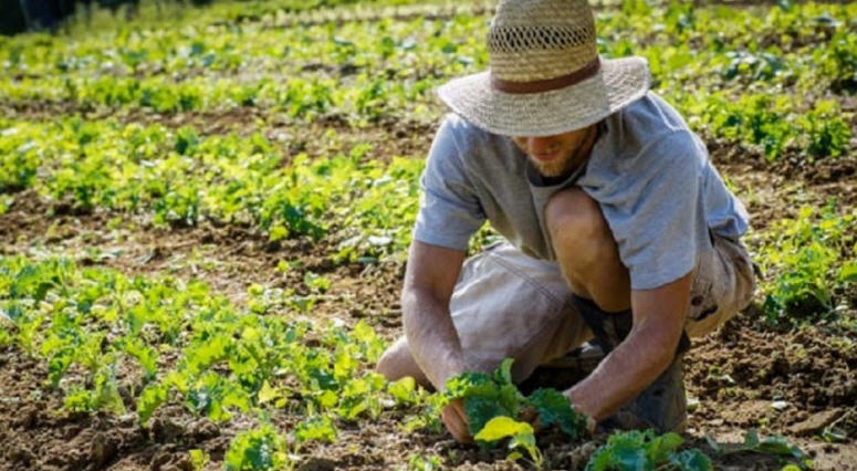 Agricoltura e innovazione: la finale Oscar Green a Piazza Armerina