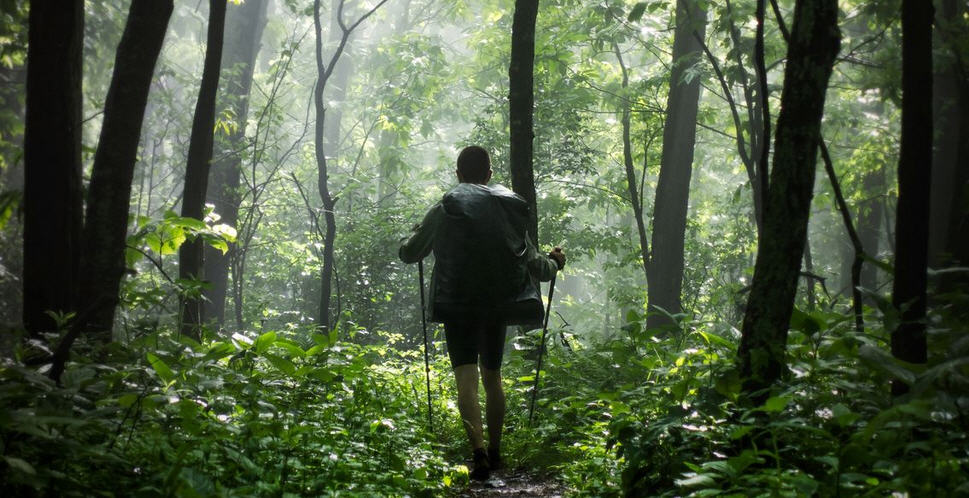 Passeggiata ludico-motoria all’interno della riserva naturale di Pergusa