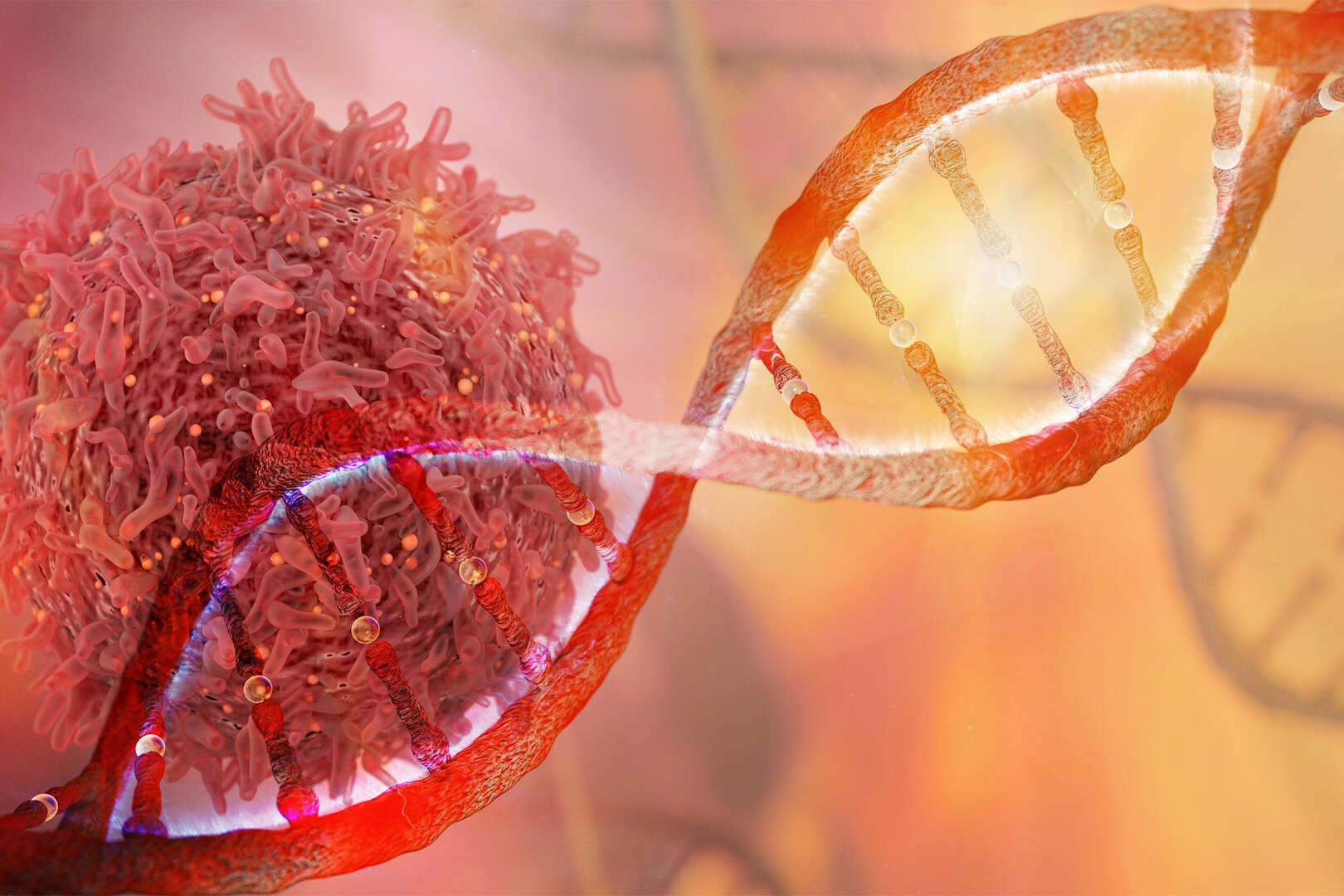Identificata una proteina che elimina il cancro e potenzia l’immunità del corpo