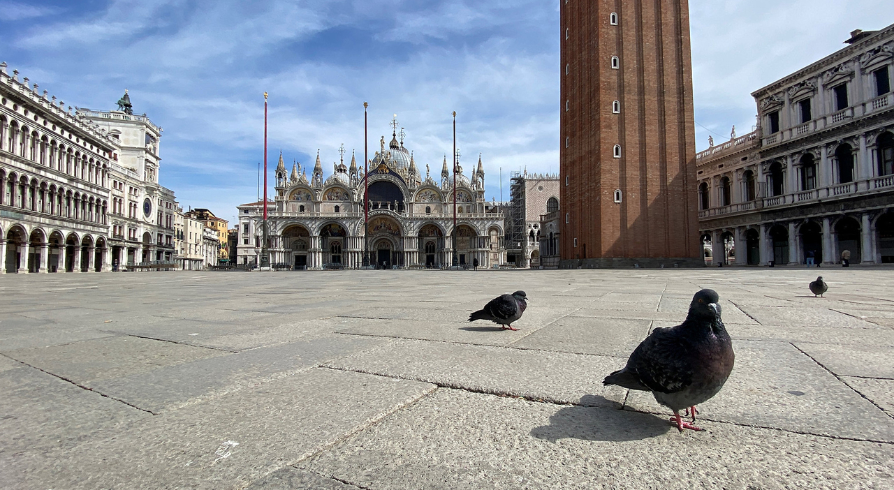 piccioni venezia