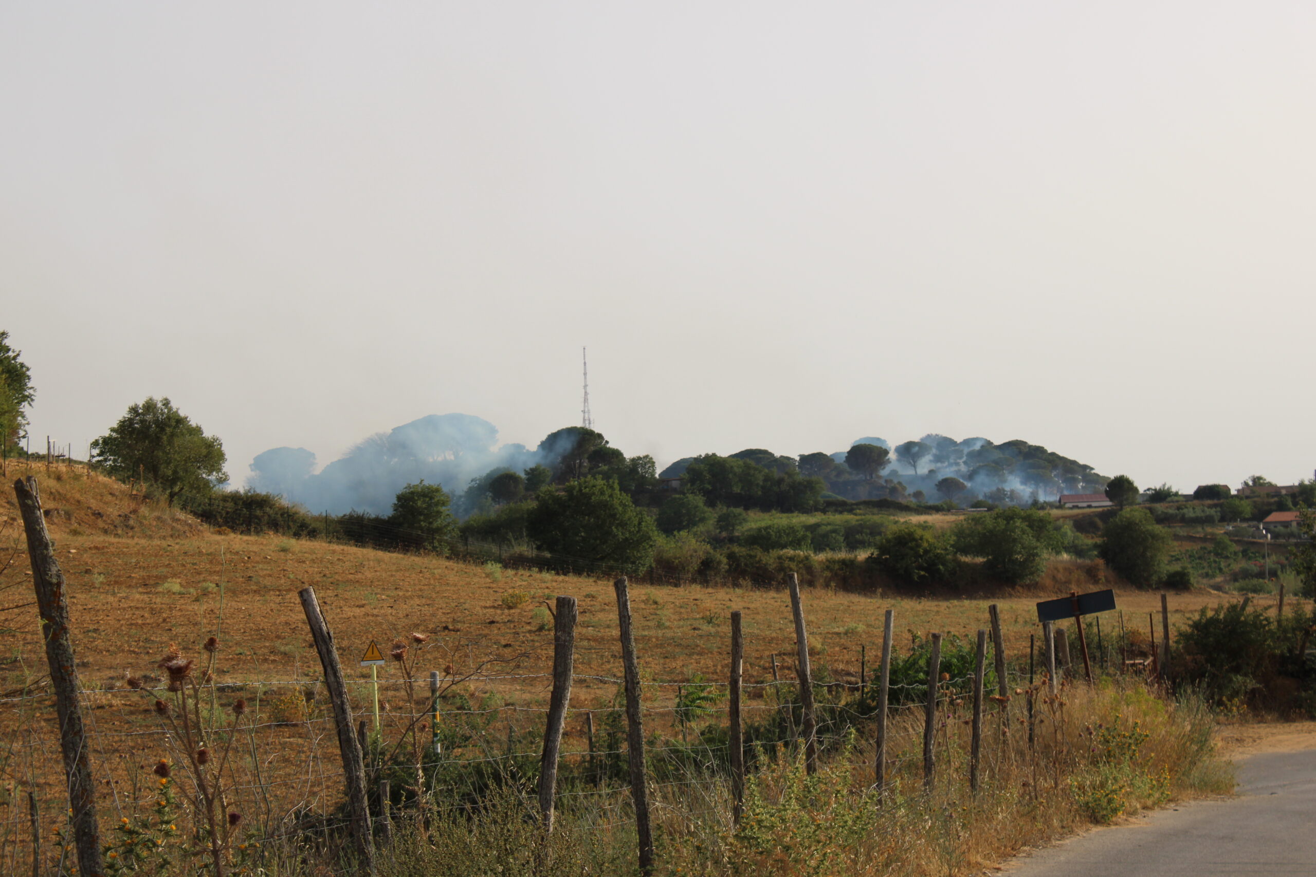 Con il caldo arrivano gli incendi, colpite Valguarnera e Piazza Armerina.