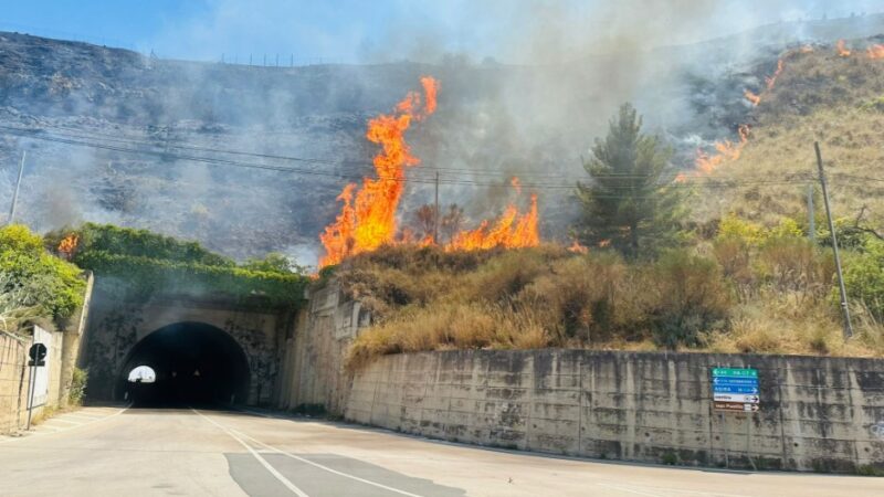 Vasto incendio su Monte San Calogero a Regalbuto. Squadre VVF e forestali in azione, elicottero sul posto