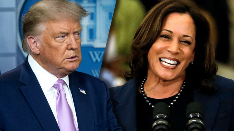 Tipologie di sostenitori di Trump e Kamala Harris: un confronto sociopolitico