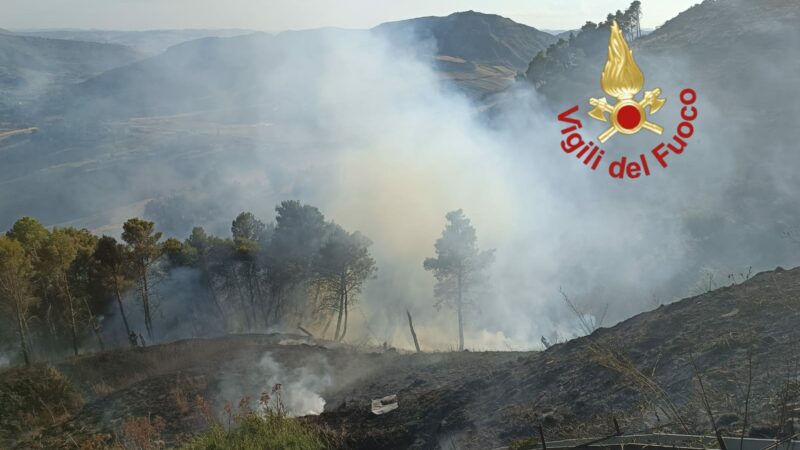 Incendio domato a Enna: l’intervento dei Vigili del Fuoco evita danni alle attività commerciali