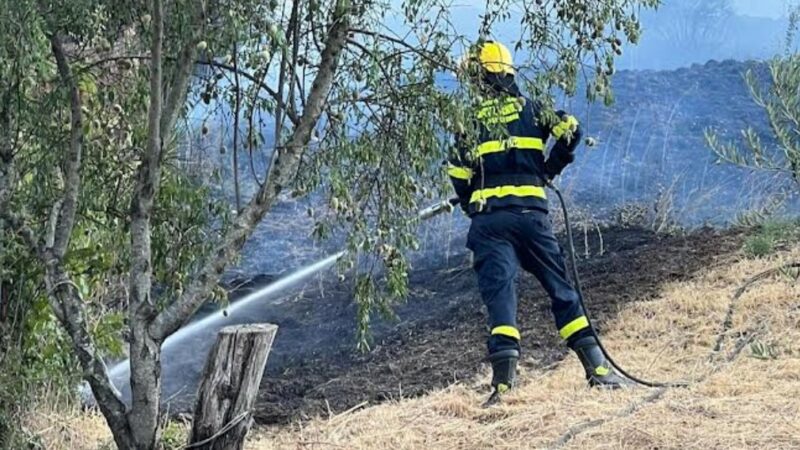 Incendio a Pergusa:  Protezione Civile e i Vigili del Fuoco in azione