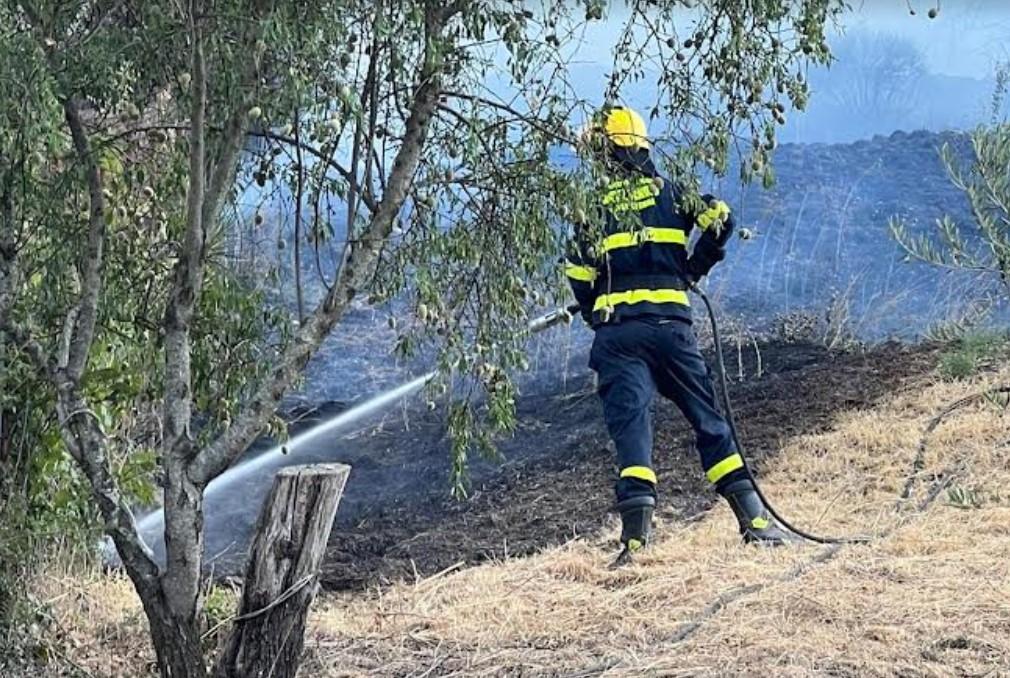 Incendio a Pergusa:  Protezione Civile e i Vigili del Fuoco in azione