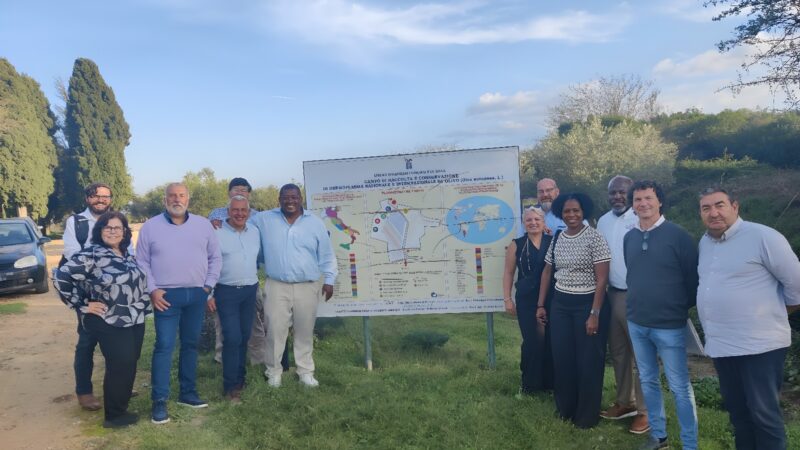 La delegazione dell’Università dell’Arkansas in visita a Enna: approfondimenti su biodiversità e cultura agraria