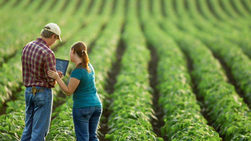 Siccità: stanziati 100 milioni di euro per sostenere l’agricoltura siciliana