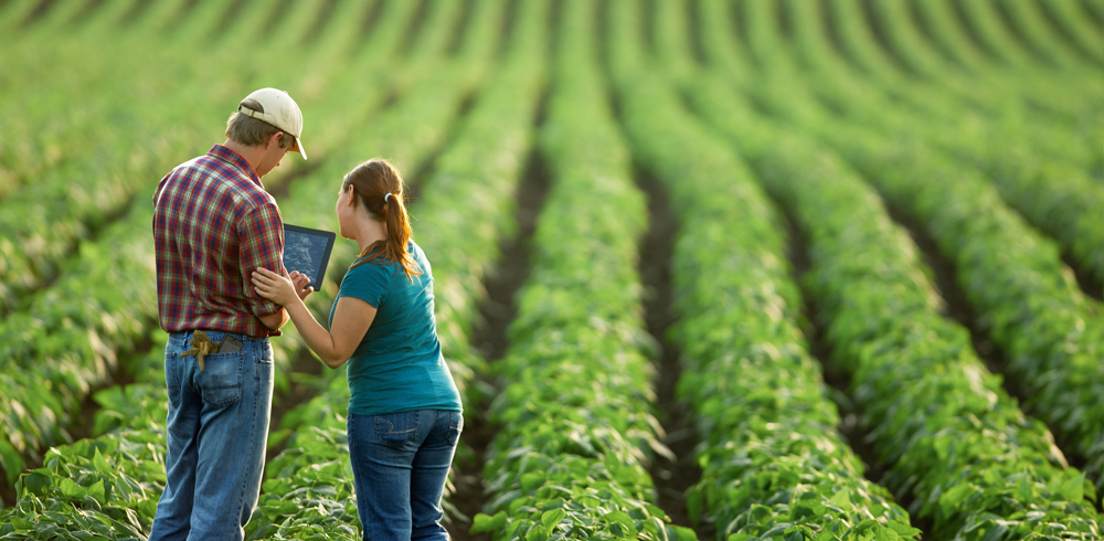 Siccità: stanziati 100 milioni di euro per sostenere l’agricoltura siciliana