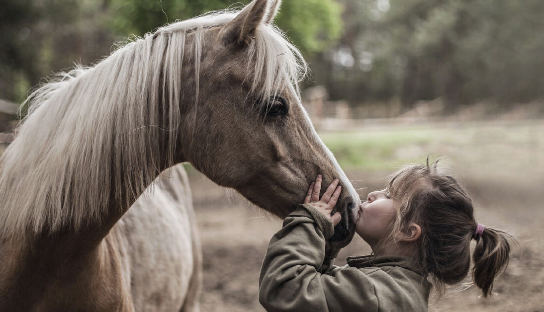 Grande successo per l’edizione 2024 della giornata del cavallo e del bambino