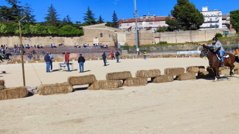 Giostra del Ritrovamento: il 4 maggio, domenica, a Piazza Armerina la seconda edizione