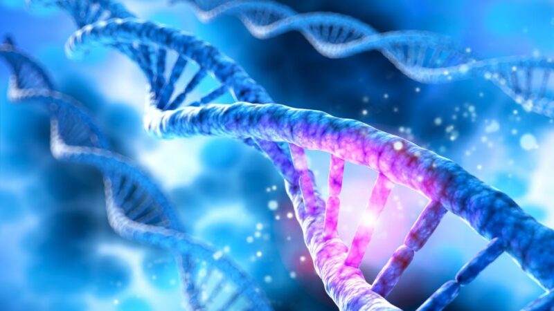 RNA e riparazione del DNA: NEAT1 apre nuove prospettive nella lotta contro il cancro